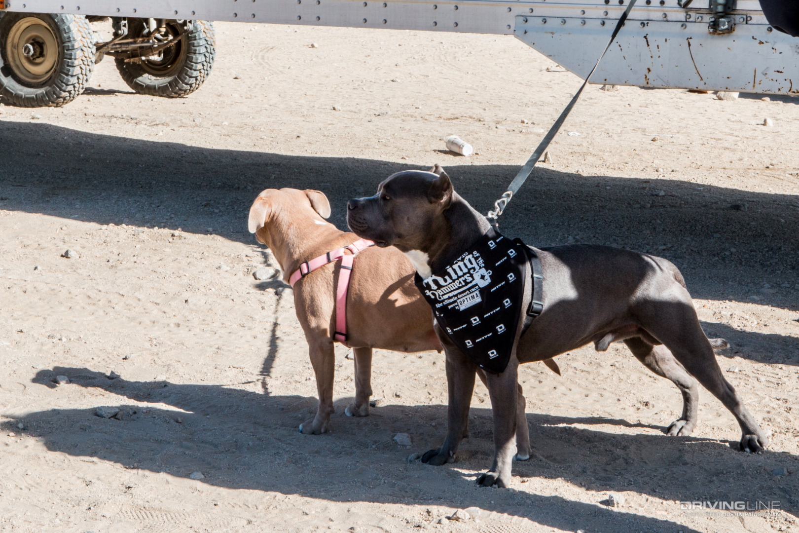 drivingline koh2016 10ways jp 11 3629