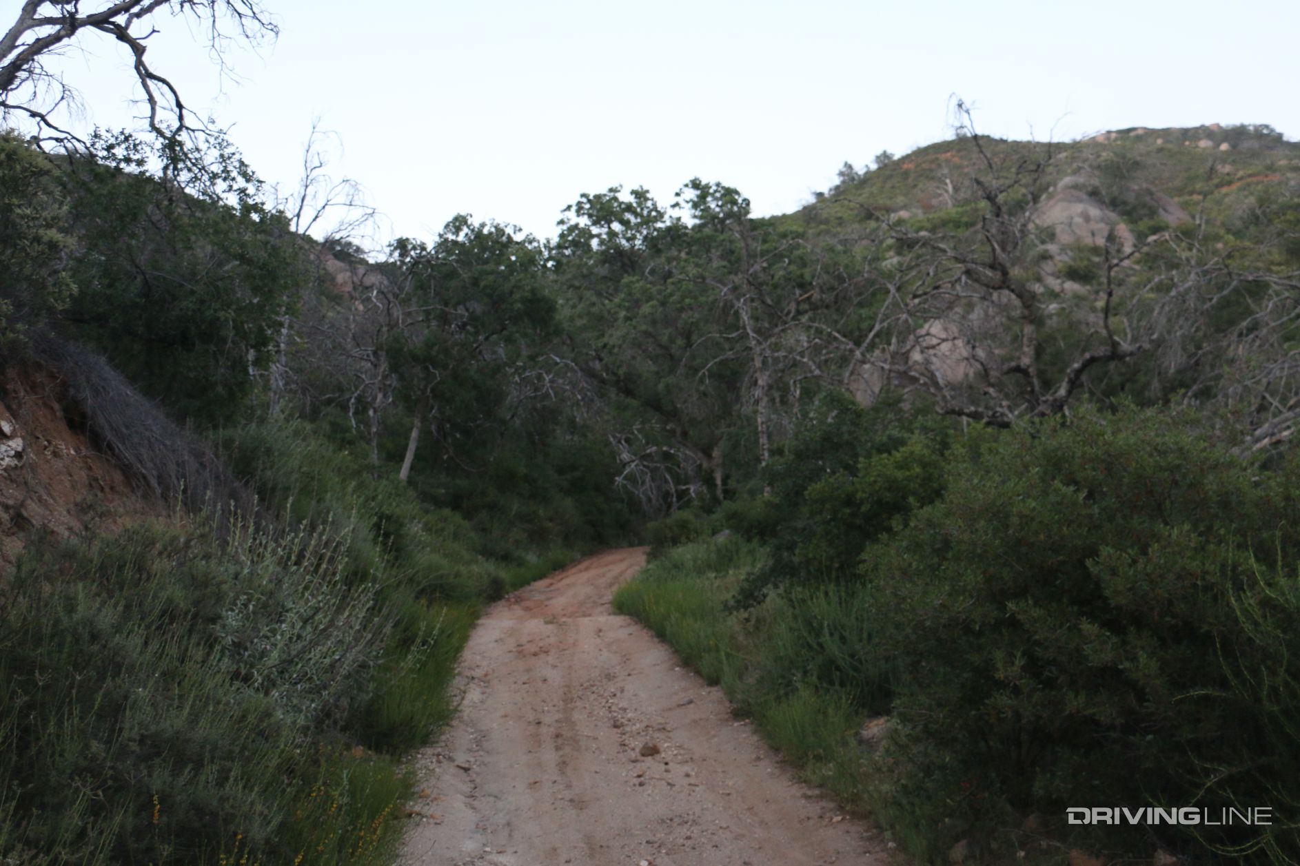 008 black mountain trail 11s04 sunset sasquatch run