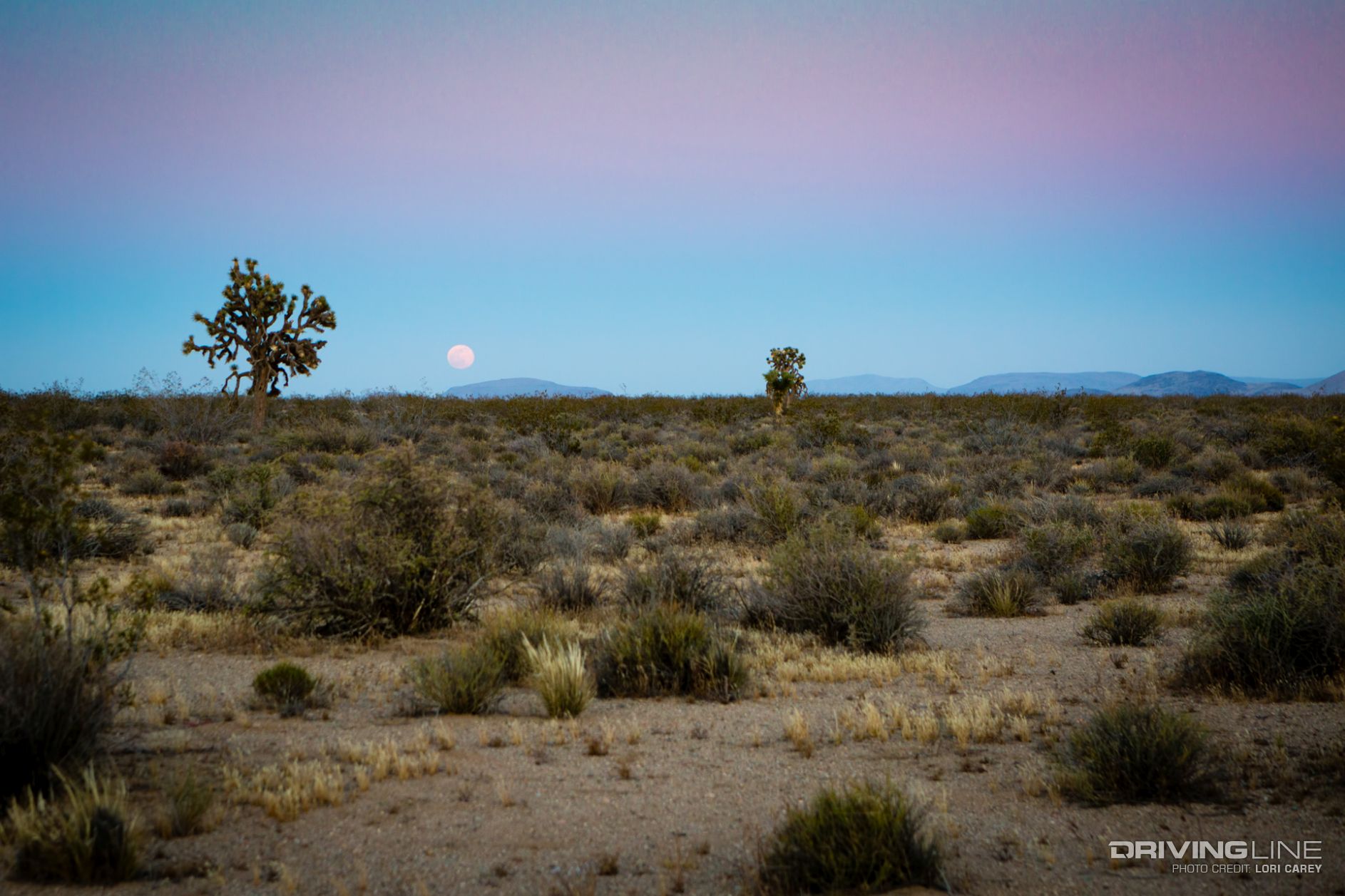 08-moonrise-grass-valley