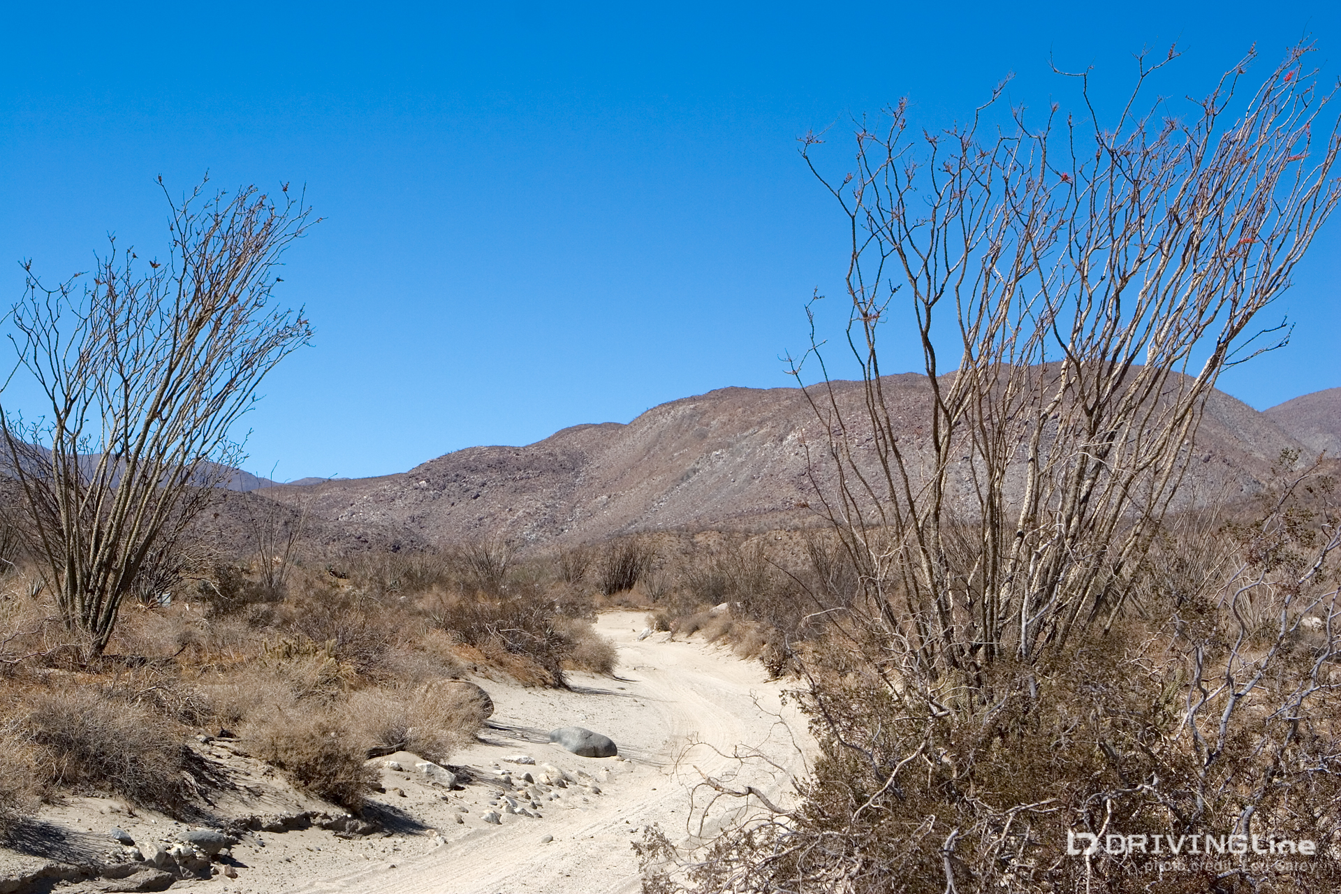 004 coyote canyon trail
