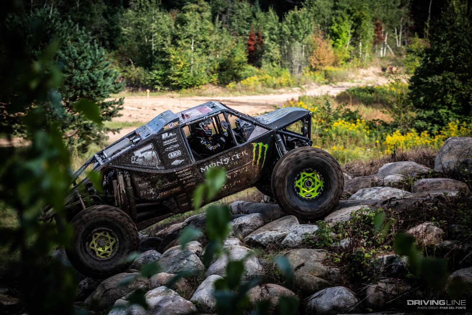 Crandon Shannon Campbell