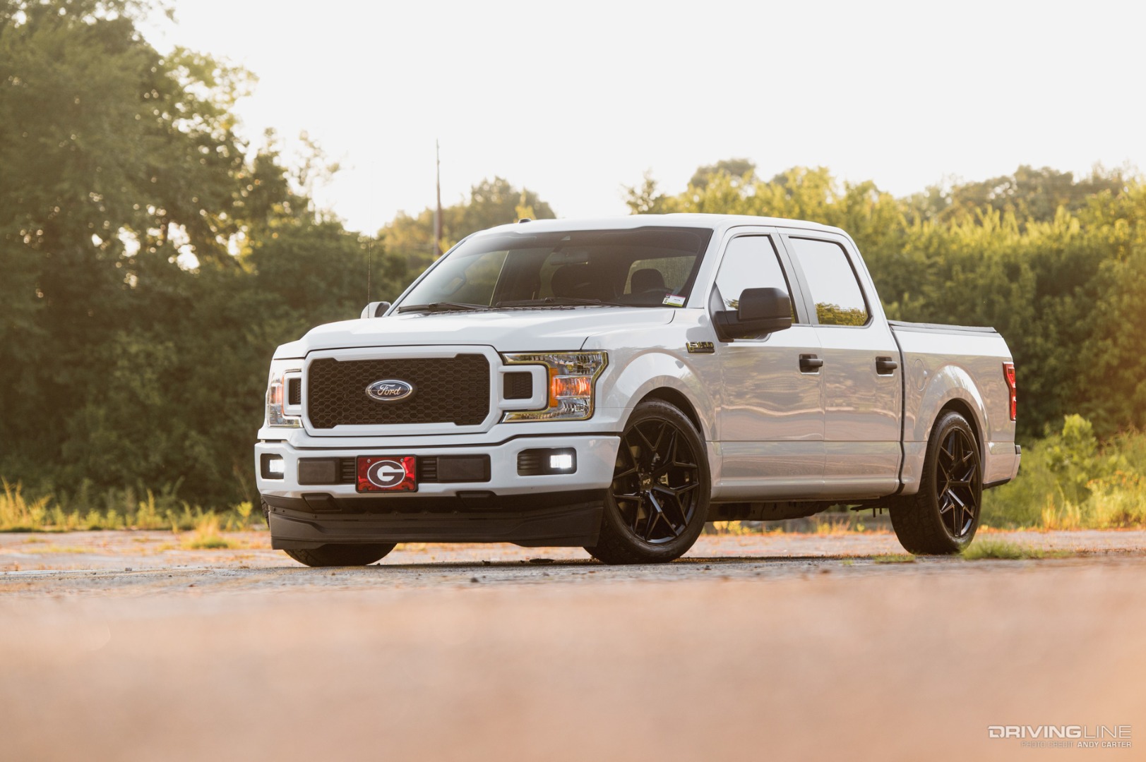 F150 with 5.0 V8 Engine