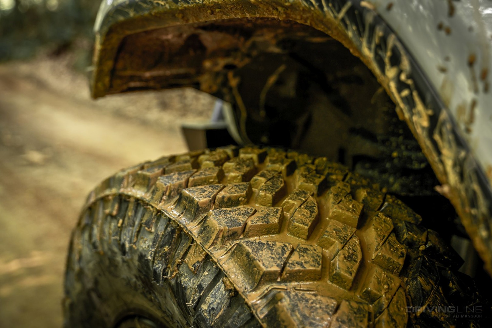 Nitto trail grappler review
