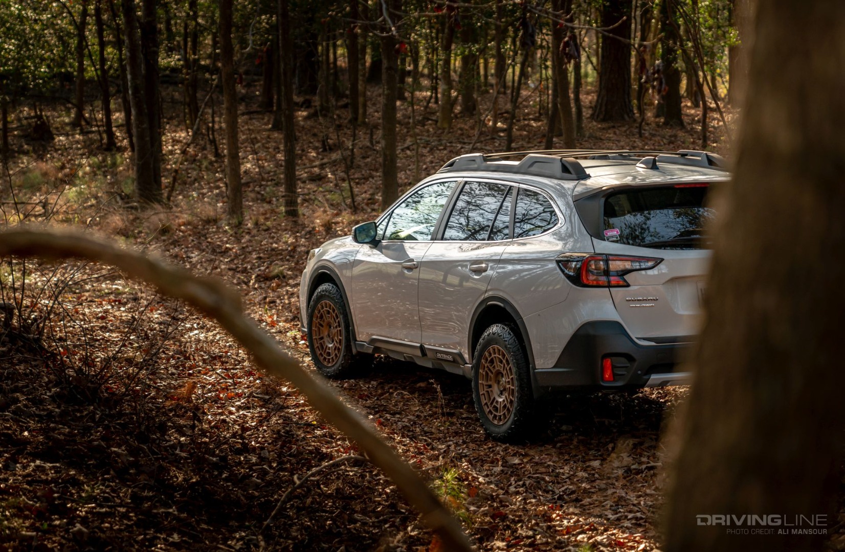 Nitto Tire Nomad Grappler Review Subaru Outback on forrest trail