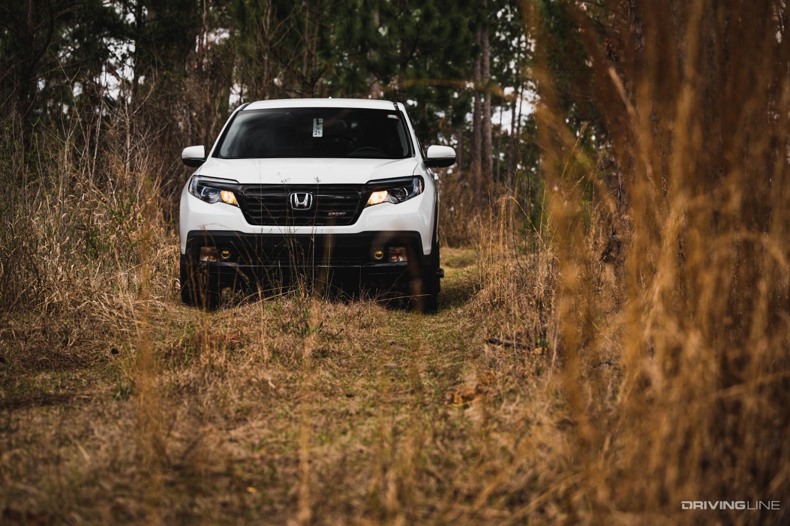 Honda Ridgeline on off-road trail next to tall grass