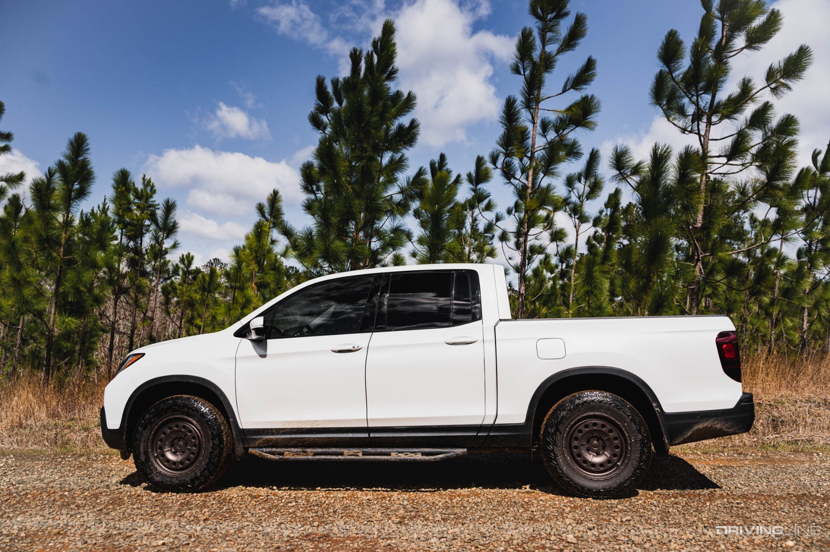 Honda Ridgeline on Off-Road Trail next to small pine trees
