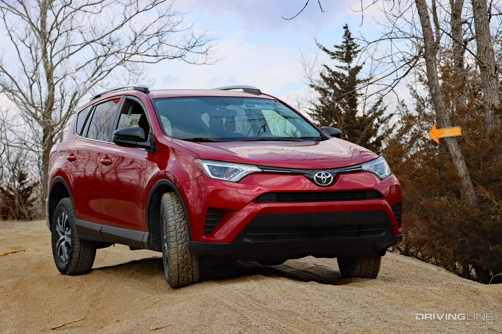 RAV4 on a sand dune next to trees