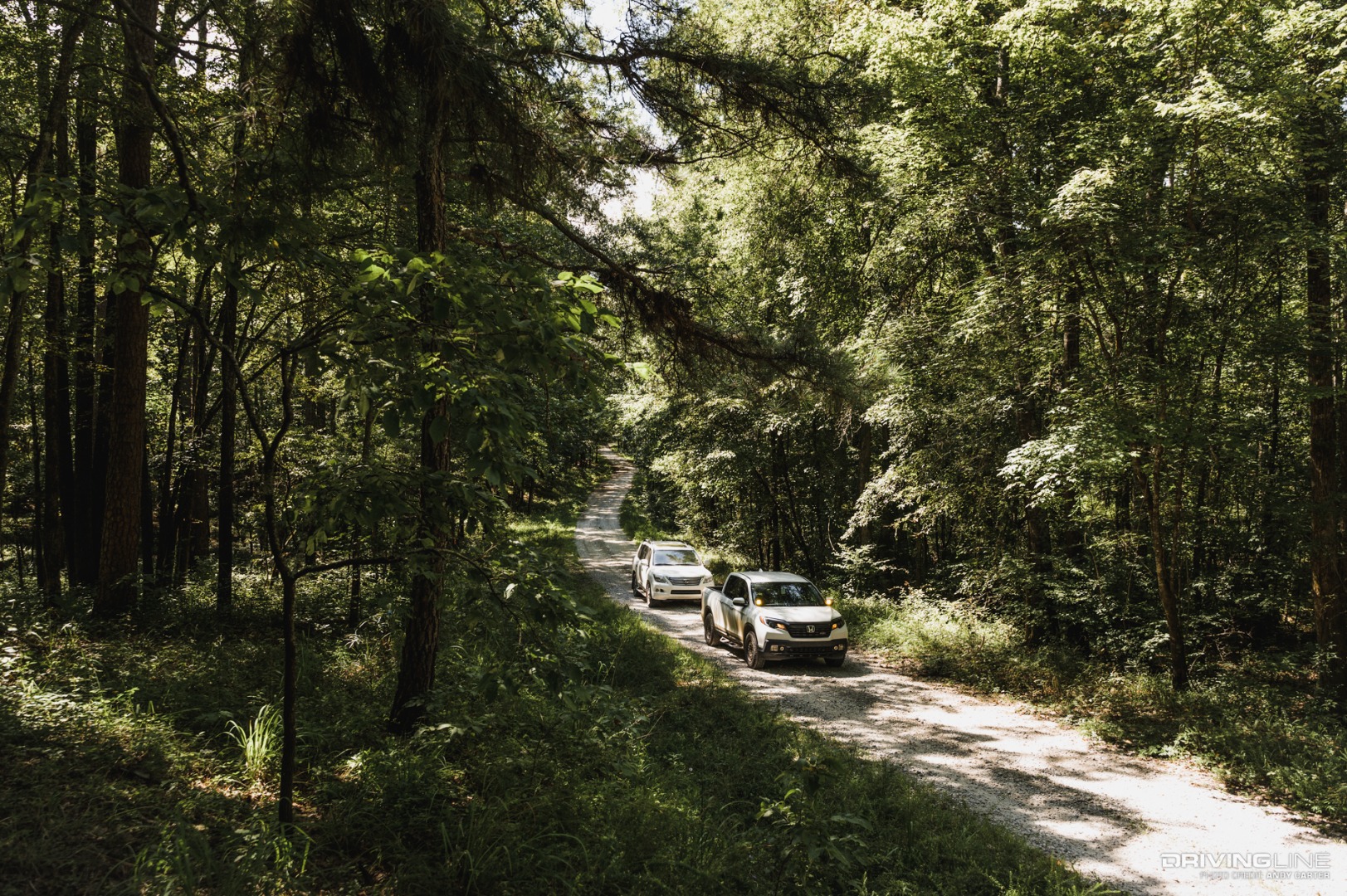 Georgia Adventure Trail