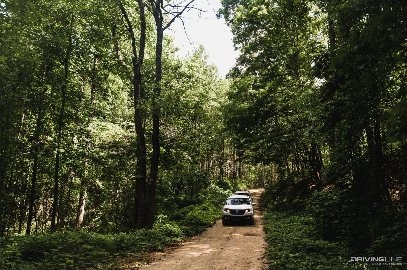 Offroading in North Georgia