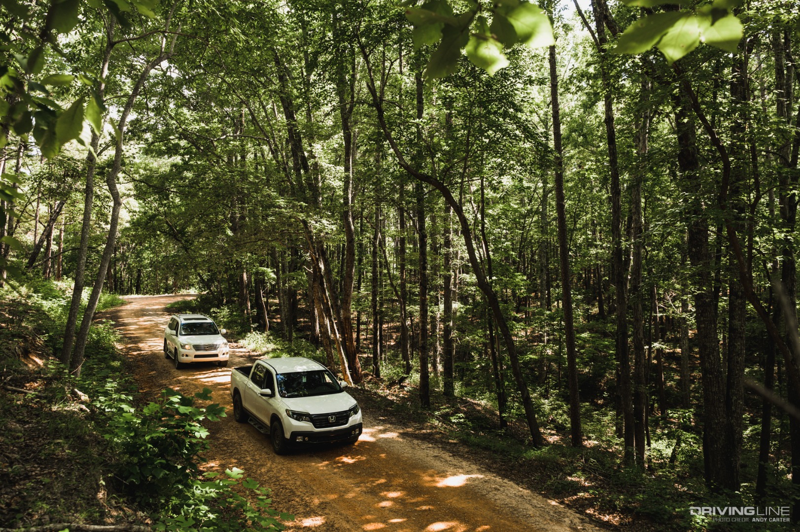 Georgia Adventure Trail