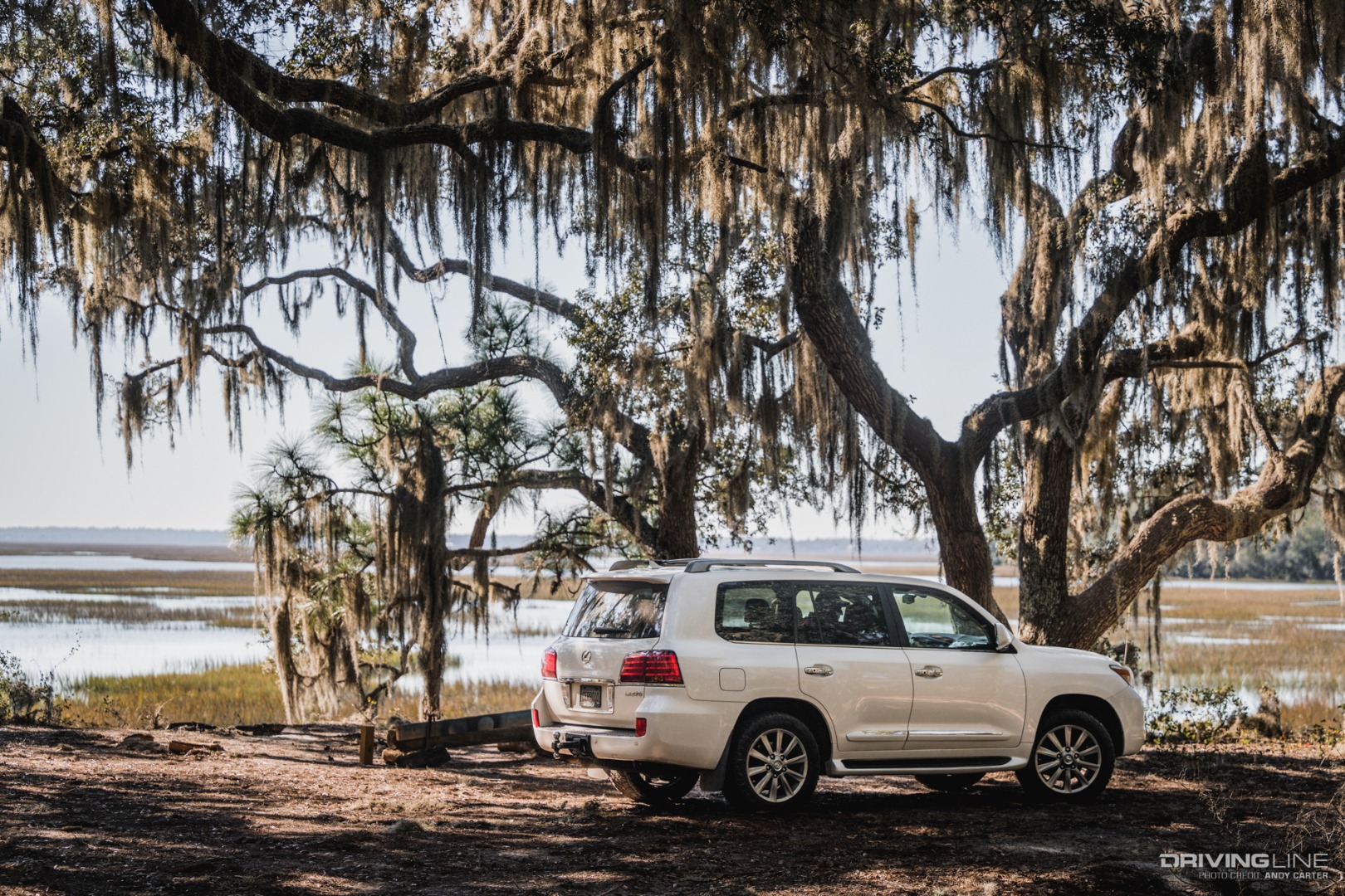 Lexus LX570 on South Georgia Trail