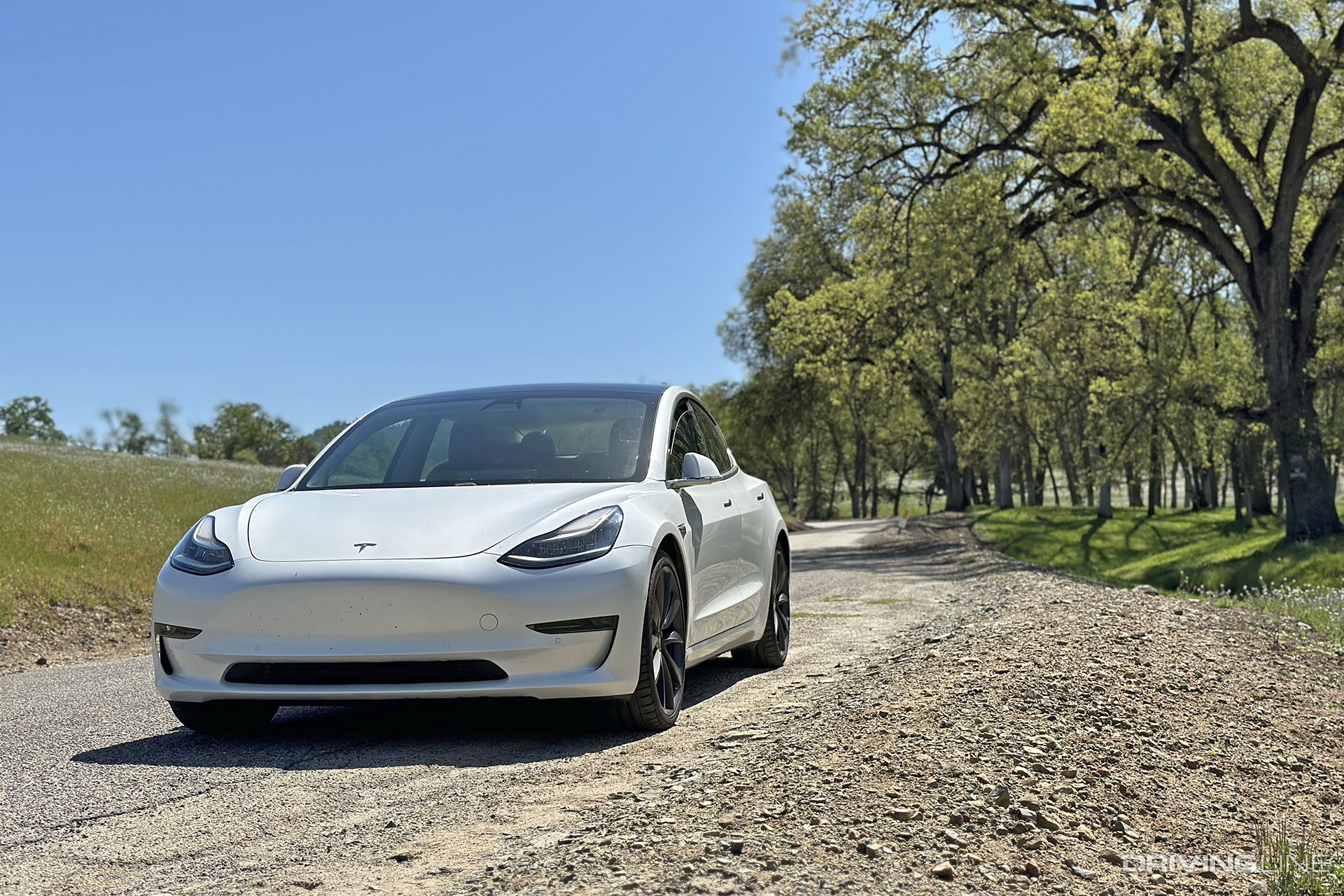 Tesla Model 3 Performance Front View