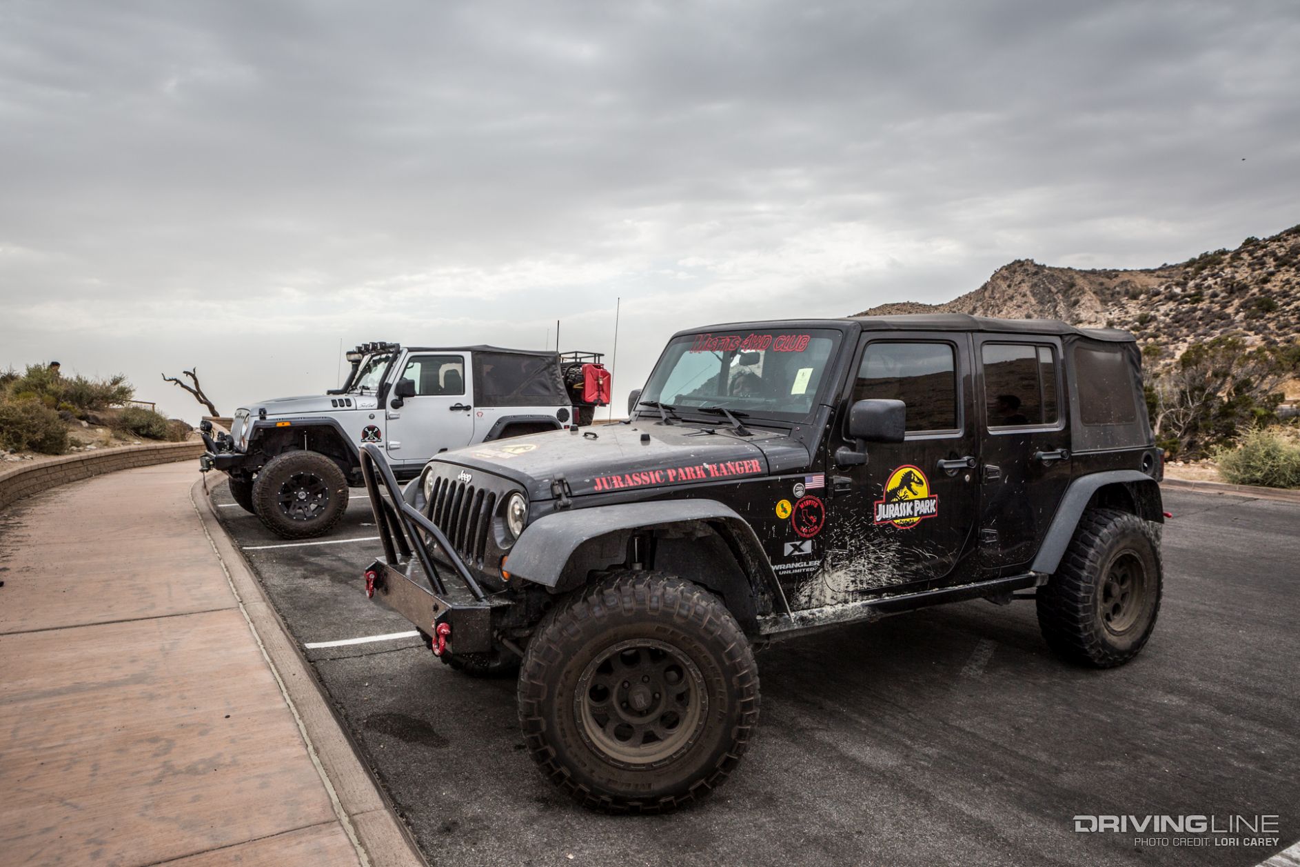 001 jeeps joshua tree