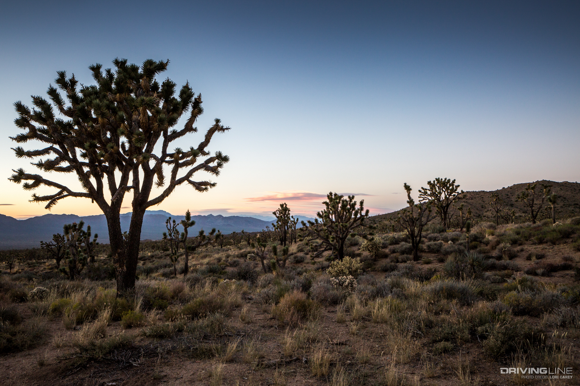 Off-Road Trail Review - Death Valley Mine Trail Mojave Desert