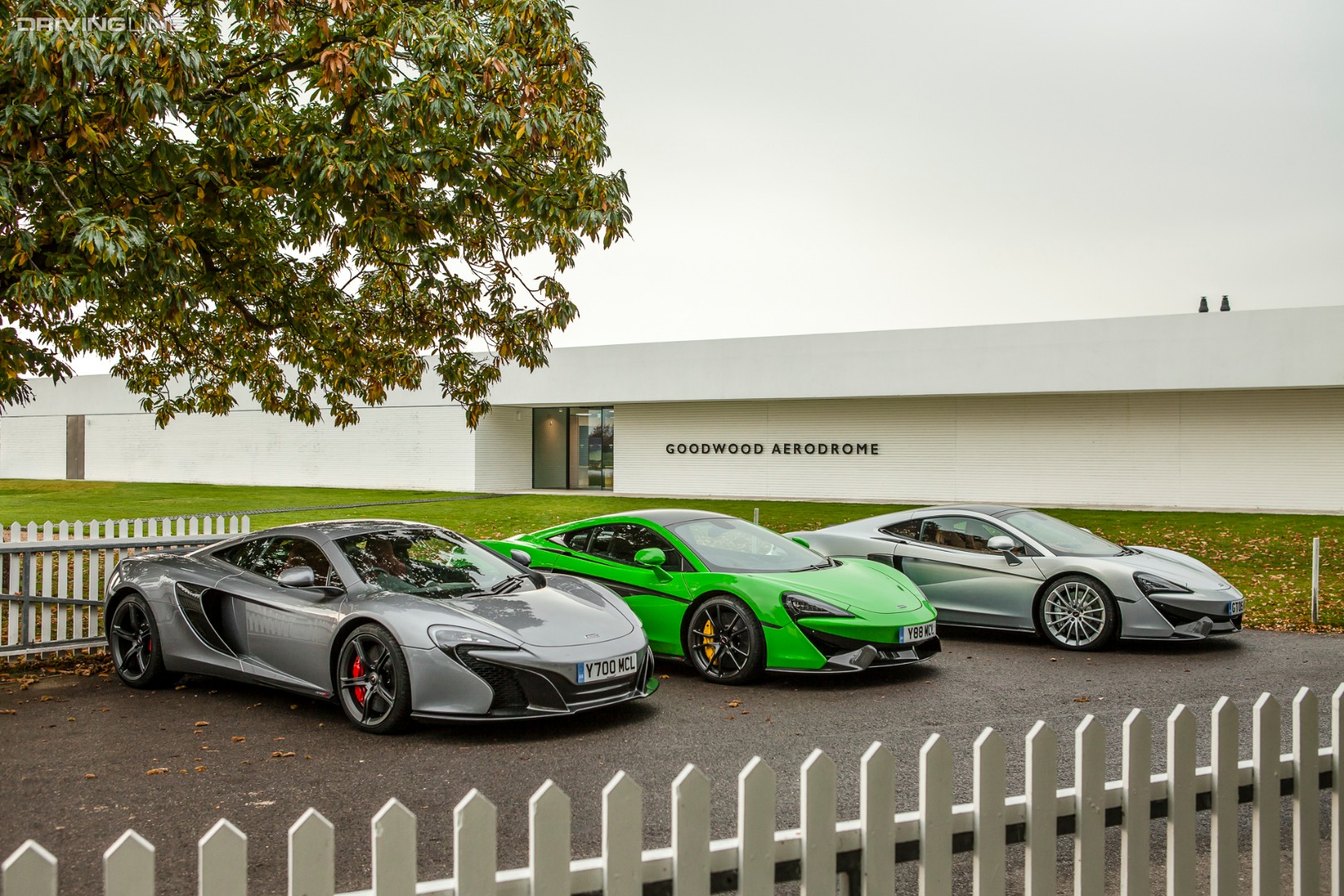 McLaren, McLaren 650S, Goodwood
