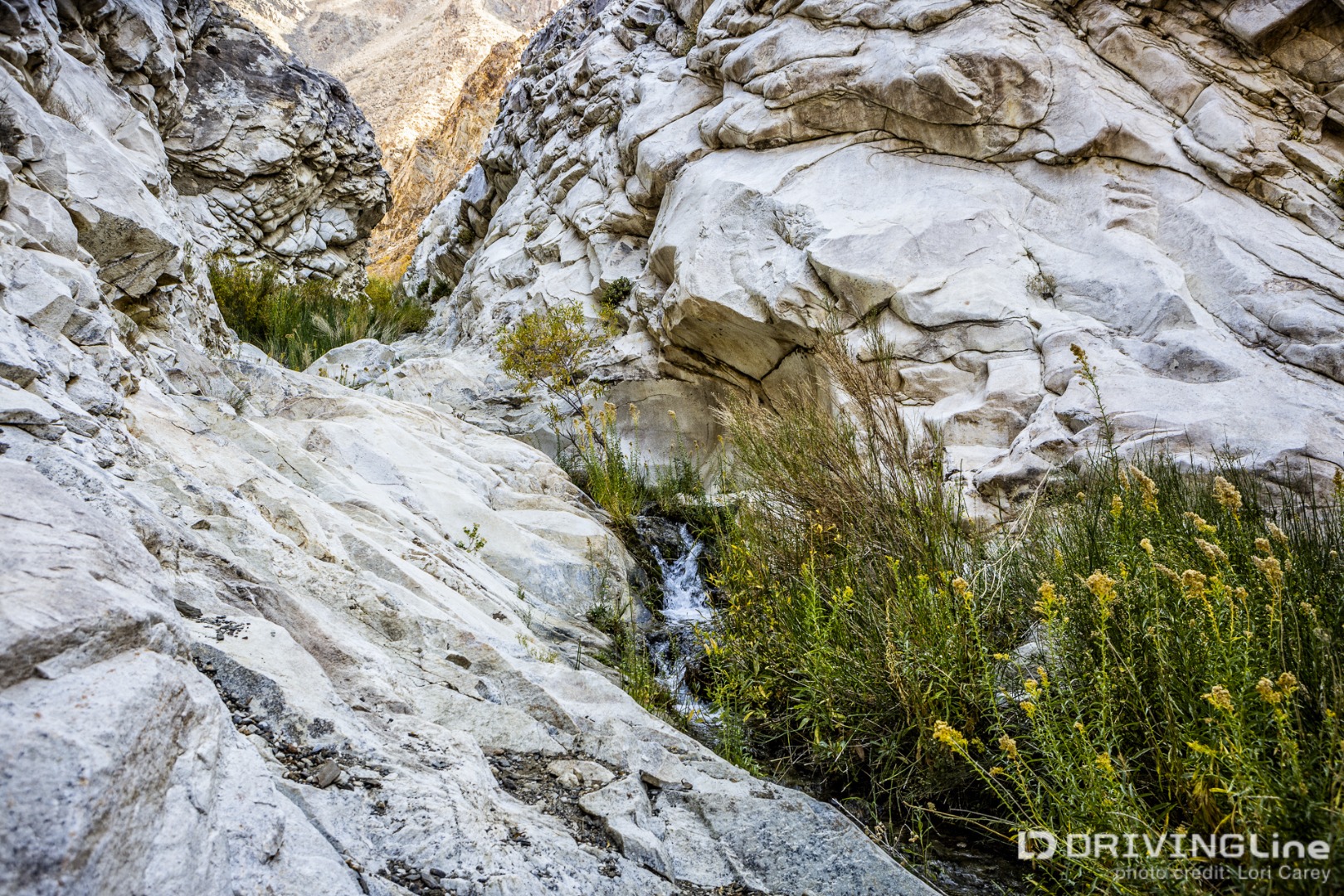 Surprise Canyon narrow marble gorge