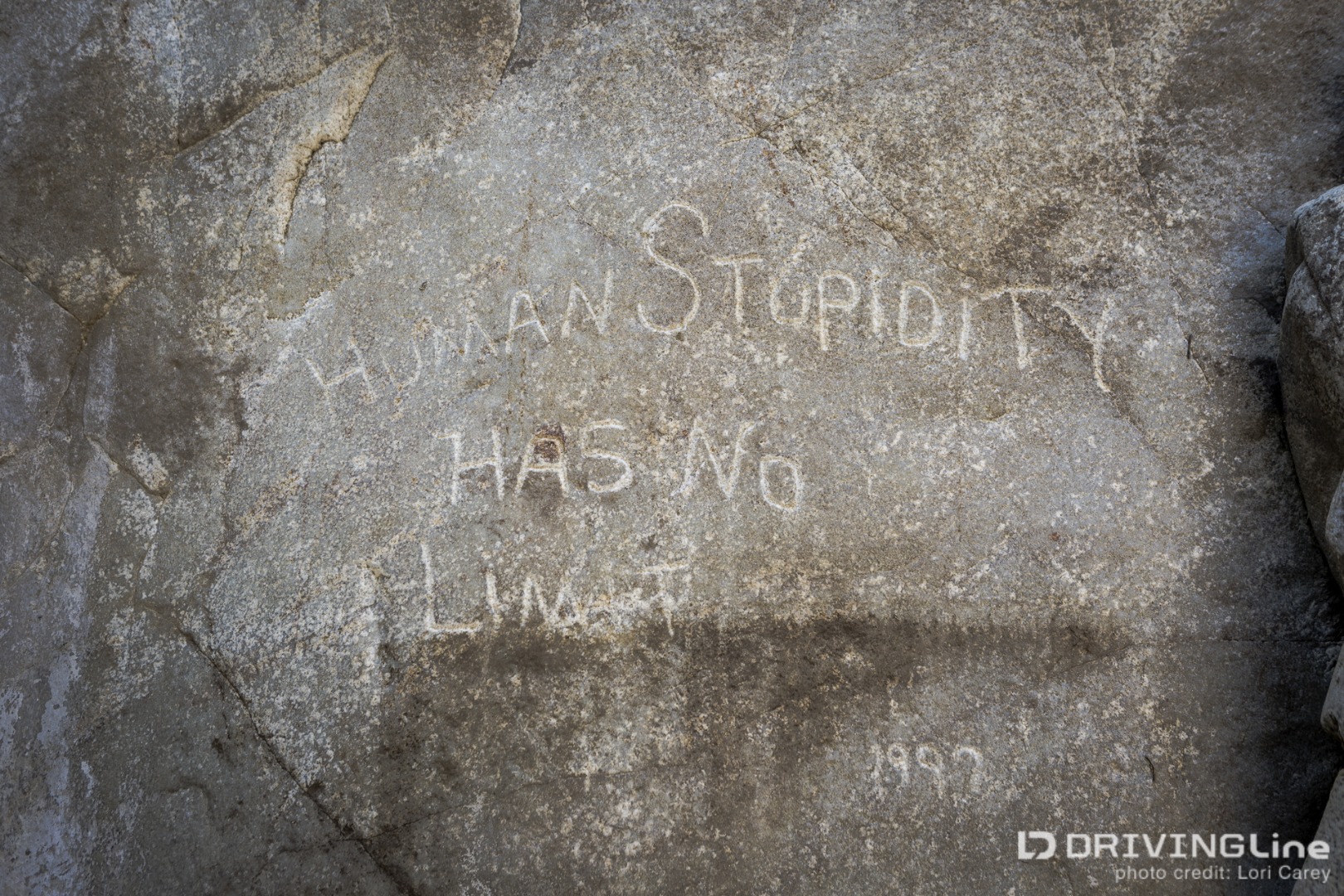 Human Stupidity quote carved into rock