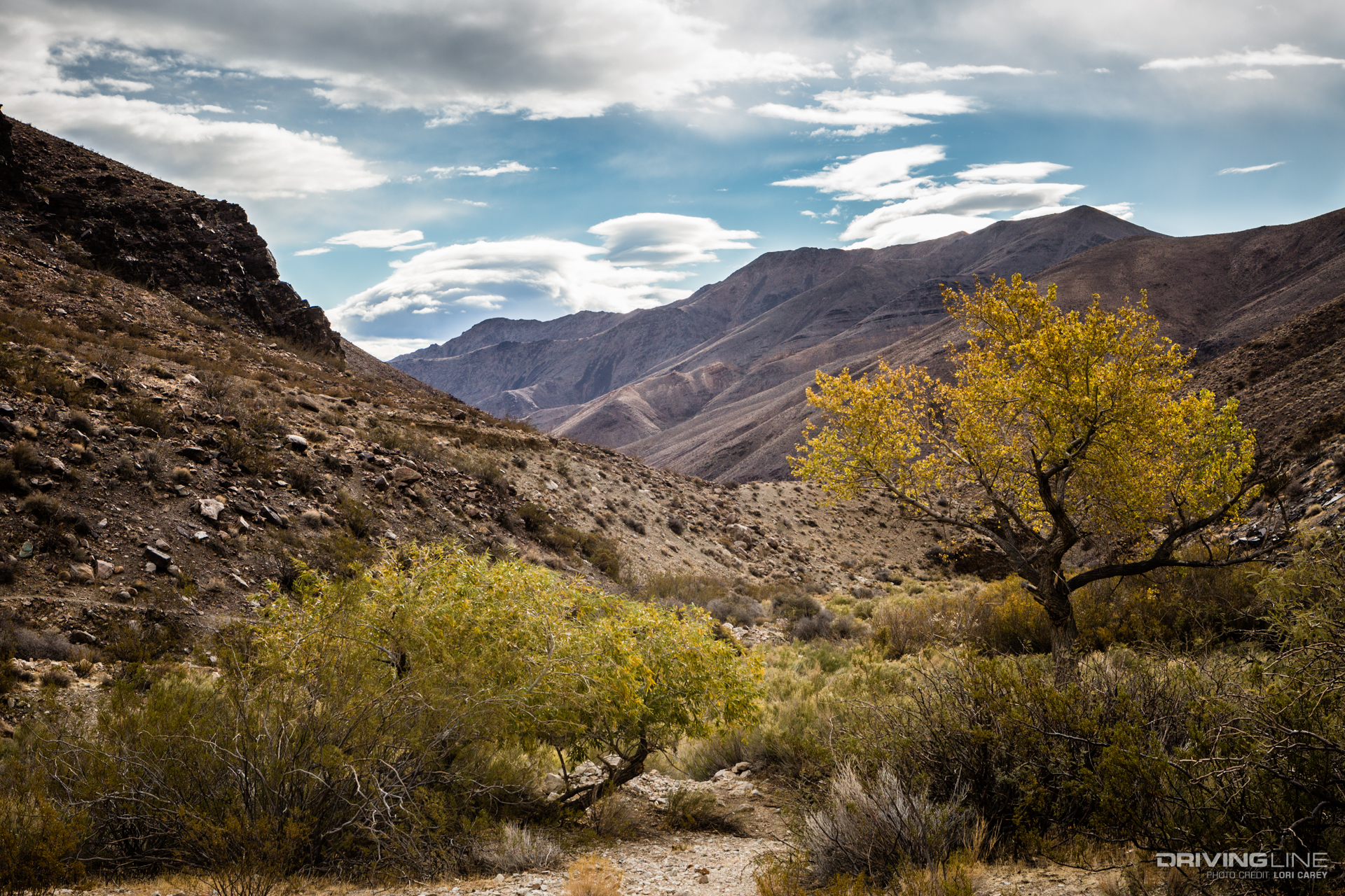 014 johson canyon death valley