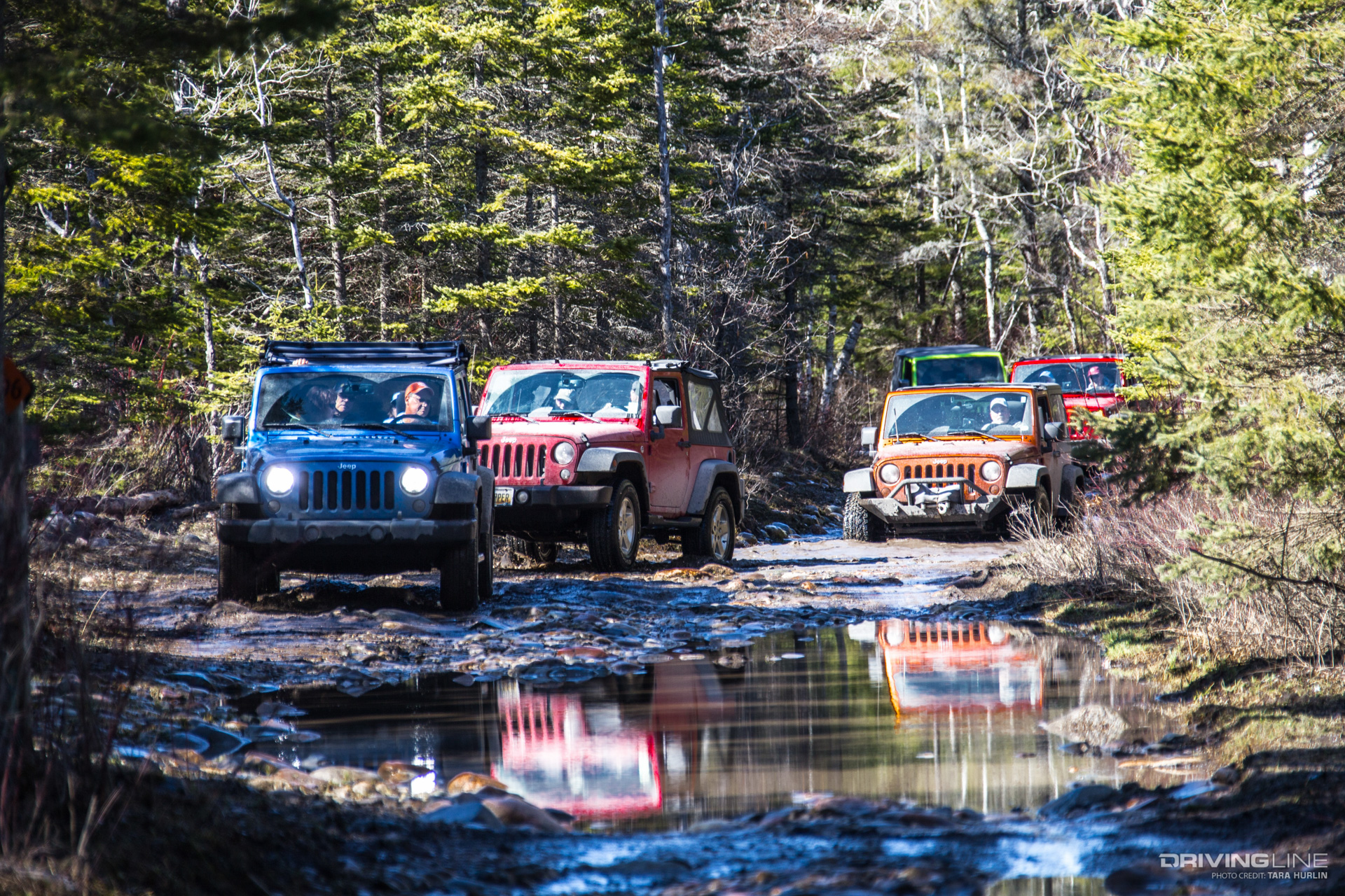 Jeeps on Drummond Island