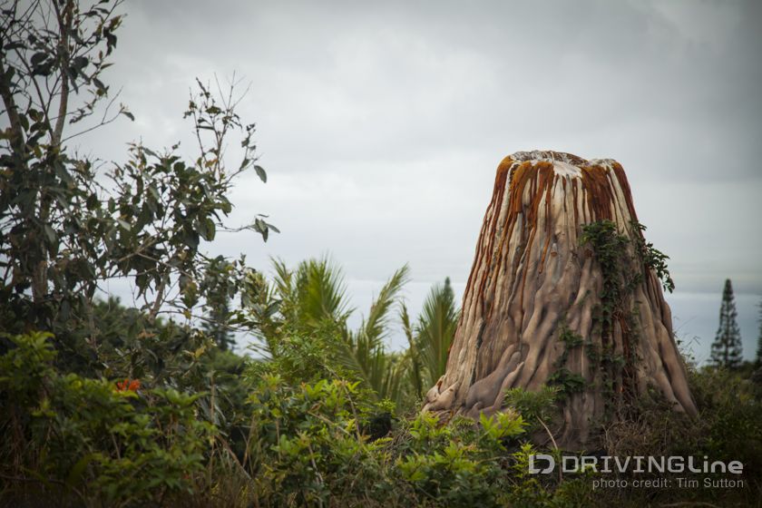 Off_Roading_in_Maui_Jeep_Travel_07