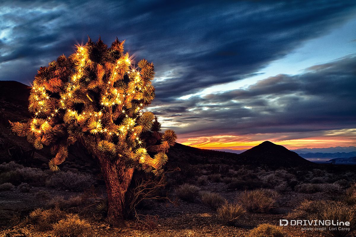 kingston-wash-trail-crusty-bunny-ranch-review-holiday-offroading-13