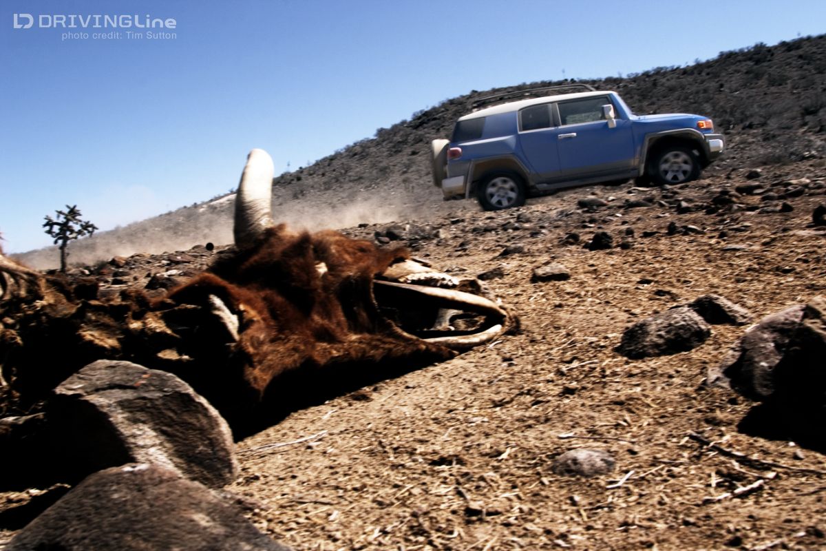 mexico-5-trail-review-20