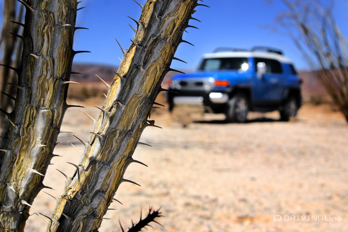 mexico-5-trail-review-59