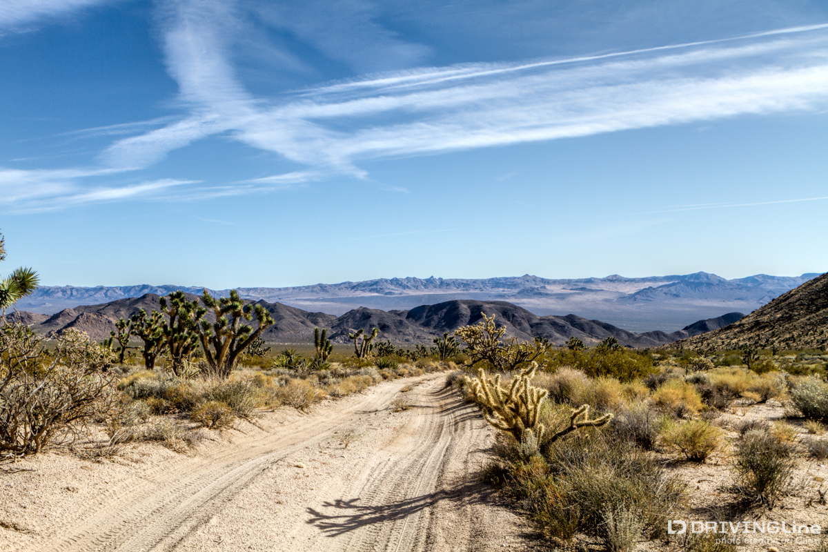 Along the Mojave Road