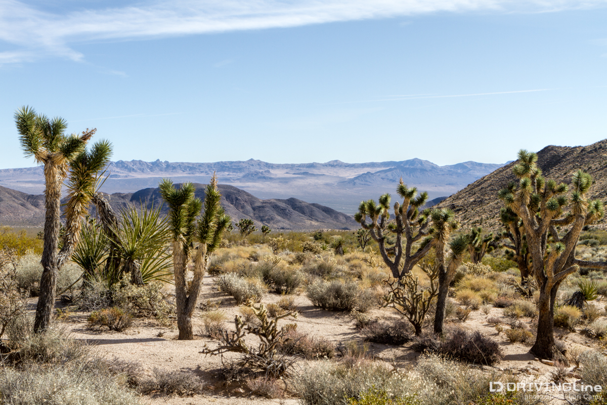 Beautiful high desert scenery in the Mojave