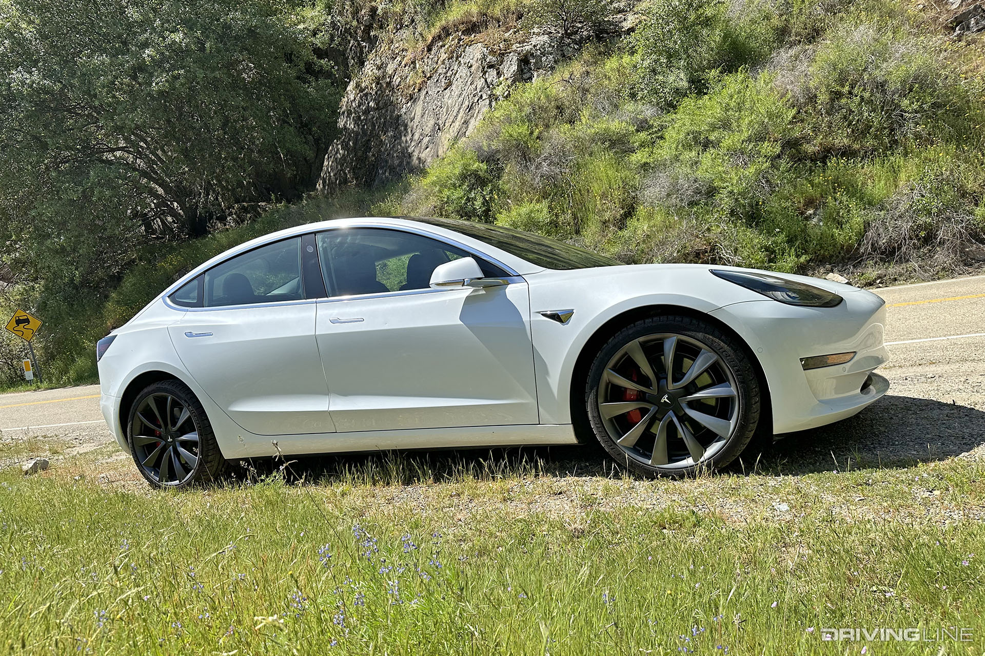 Tesla Model 3 Performance White Side View