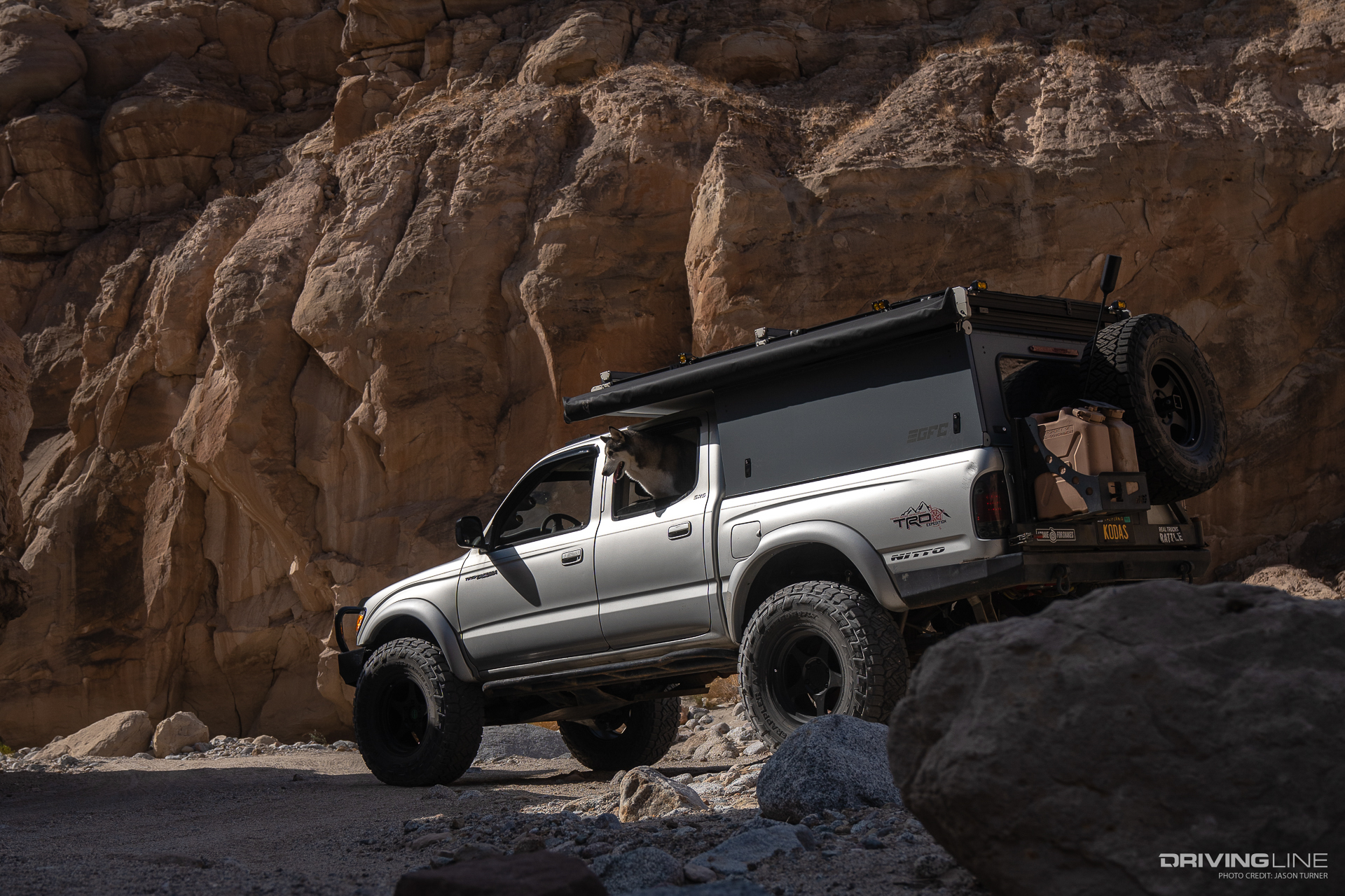 Dog looking out of window of Nitto Recon Grappler equipped Toyota Tacoma