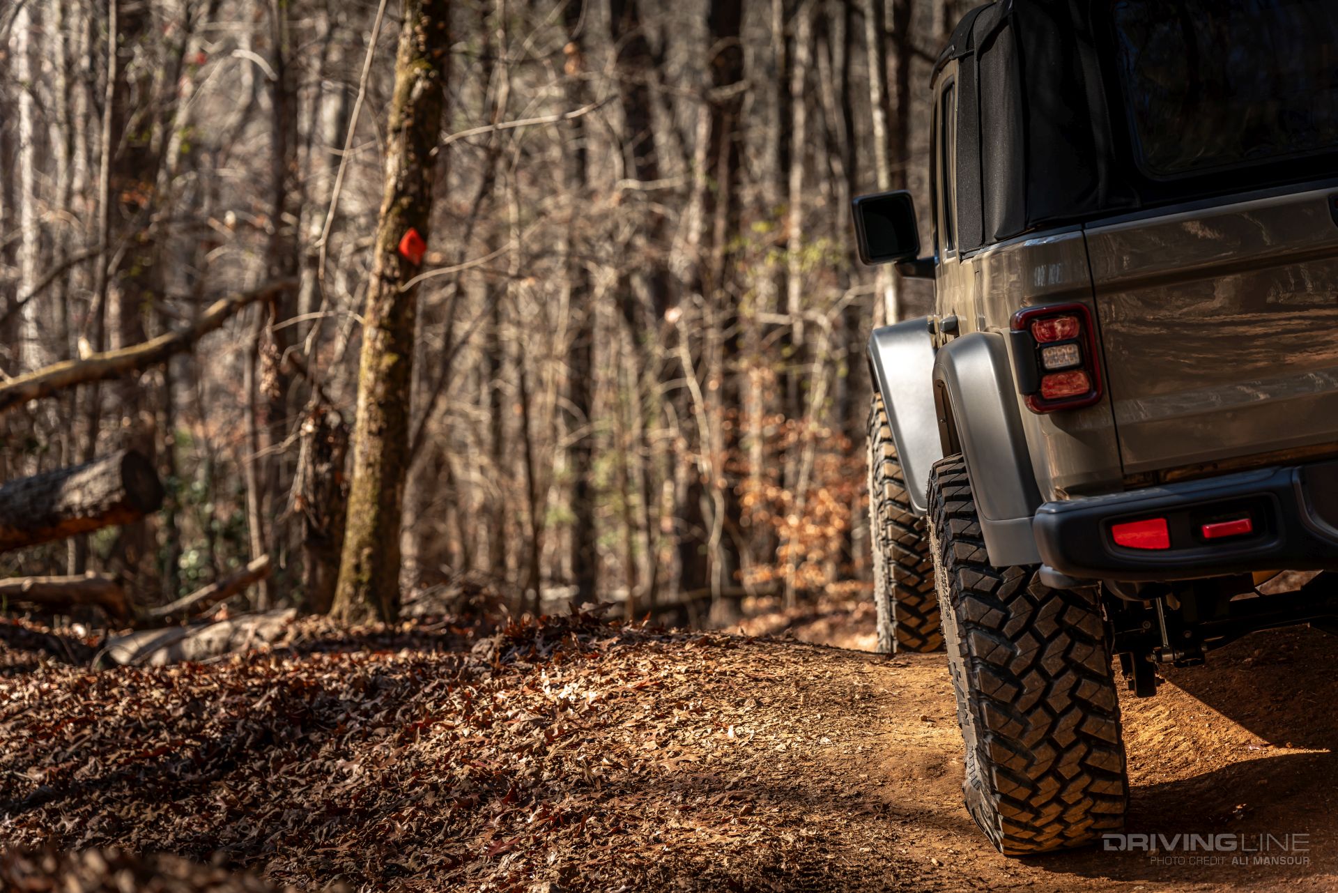 JT on 38s Trail Ride rear view Uwharrie National Forest