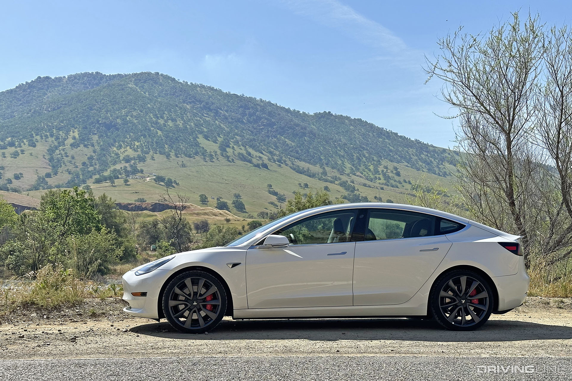 Tesla Model 3 Performance Side View
