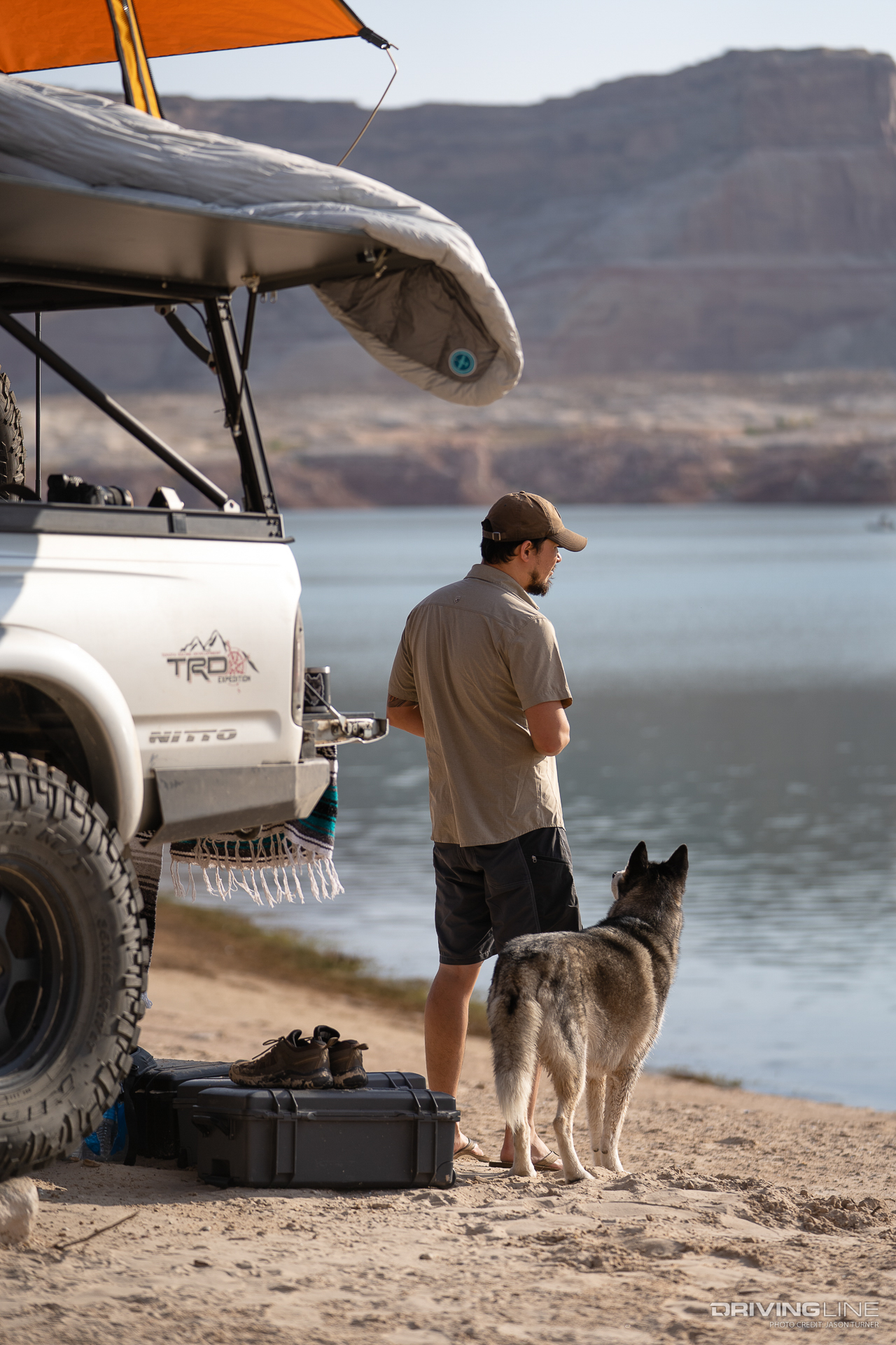 Camping or overlanding with a dog
