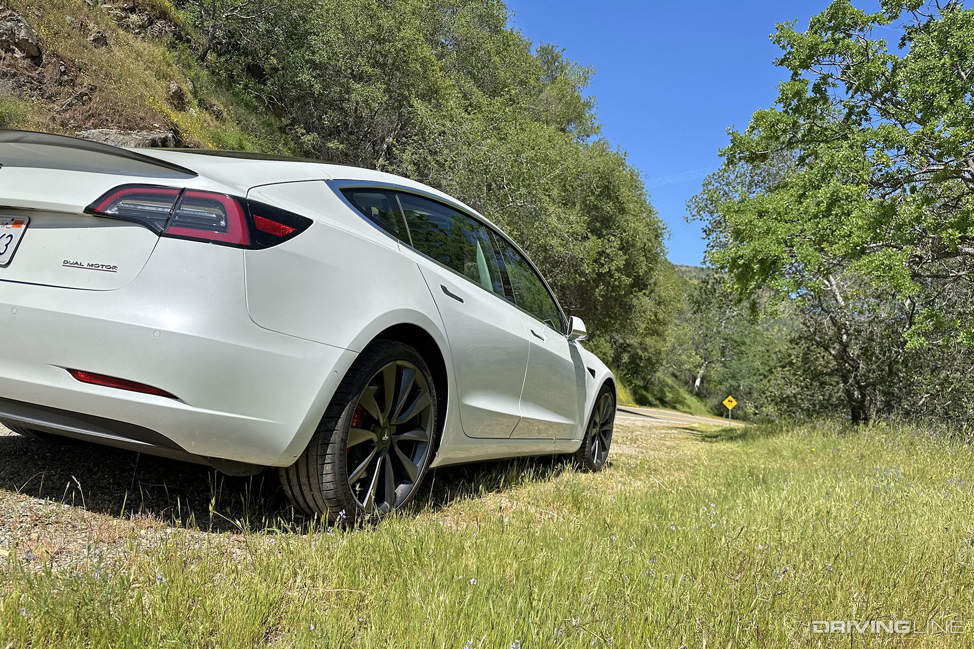 Tesla Model 3 Performance Rear View