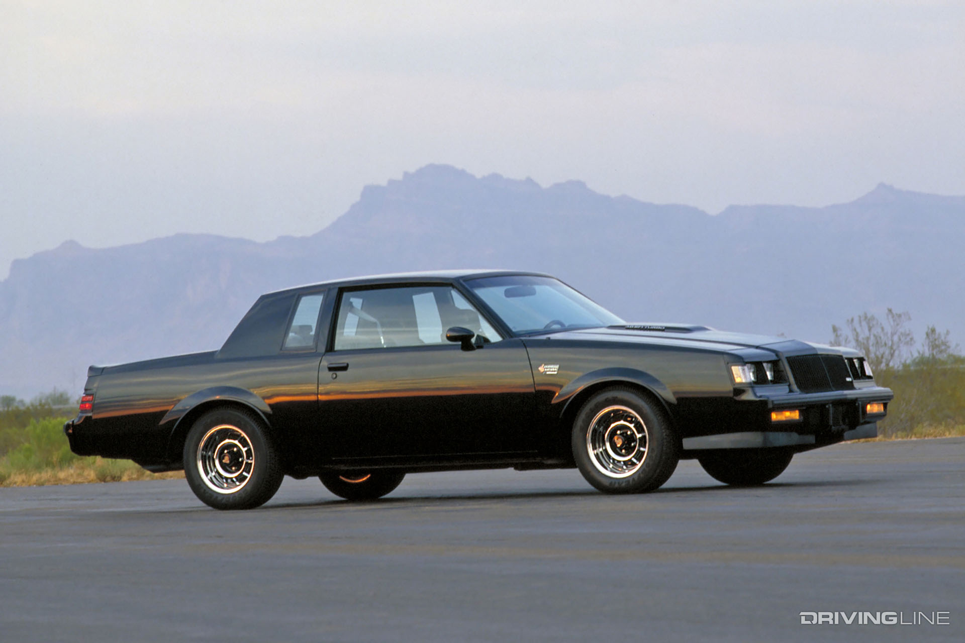 Buick Grand National Side View