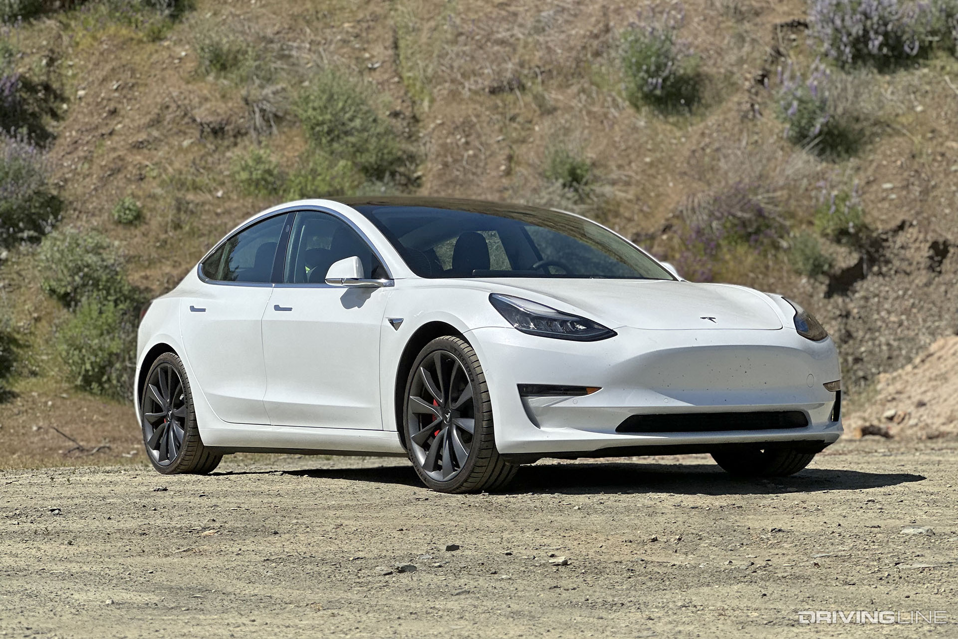 Tesla Model 3 Performance White